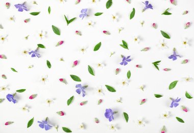 Bahar çiçekleri, Lila kır çiçekleri, pembe tomurcukları ve beyaz arka plan üzerinde izole yaprakları çiçek desen yaptı. Düz yatıyordu. Üstten Görünüm.