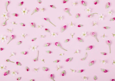 Çiçek desenli baharında yapılmış çiçek tomurcukları pastel pembe bir arka plan üzerinde. Düz yatıyordu. Üstten Görünüm.