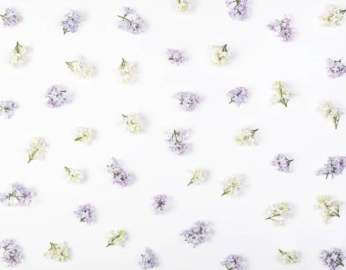 Beyaz arka plan üzerinde izole bahar beyaz ve mor Lila çiçek çiçek desen yaptı. Düz yatıyordu. Üstten Görünüm.