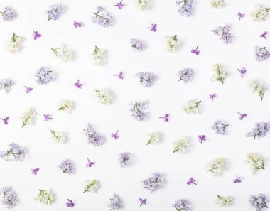 Beyaz arka plan üzerinde izole bahar beyaz ve mor Lila çiçek çiçek desen yaptı. Düz yatıyordu. Üstten Görünüm.