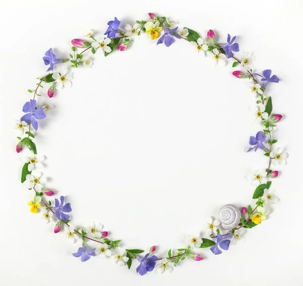 Çerçeve Lila çiçek, pembe tomurcukları, bahar çiçekler, yapılan çelenk yaprakları ve beyaz arka plan üzerinde Salyangoz kabuğu izole. Üstten görünüm. Düz yatıyordu.