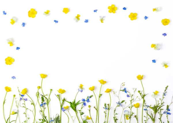 Çayır çiçeklerle alan Düğünçiçekleri ve beyaz arka plan üzerinde izole hercai menekşe. Üstten görünüm kopya alanı ile. Düz yatıyordu.