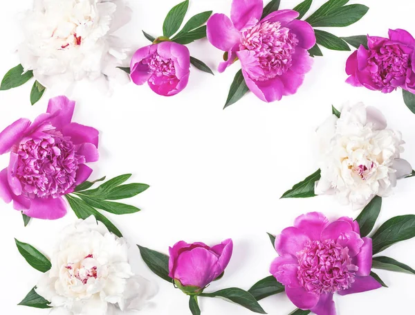 Квіткова Рамка Рожевих Білих Піоновидних Квітів Листя Ізольовані Білому Тлі — стокове фото