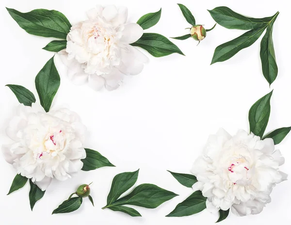 Каркас Білих Півоній Квітів Листя Ізольовані Білому Тлі Вид Зверху — стокове фото
