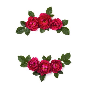 Pembe gül çiçek ve beyaz arka plan üzerinde izole yaprak çerçeve çiçek çelenk yaptı. Düz yatıyordu. Üstten görünüm.