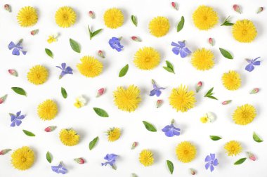 Çiçek desenli sarı çiçekler karahindiba, Lila, pembe tomurcukları ve yeşil yaprakları beyaz arka plan üzerinde izole yapılmış. Düz yatıyordu. Üstten Görünüm.