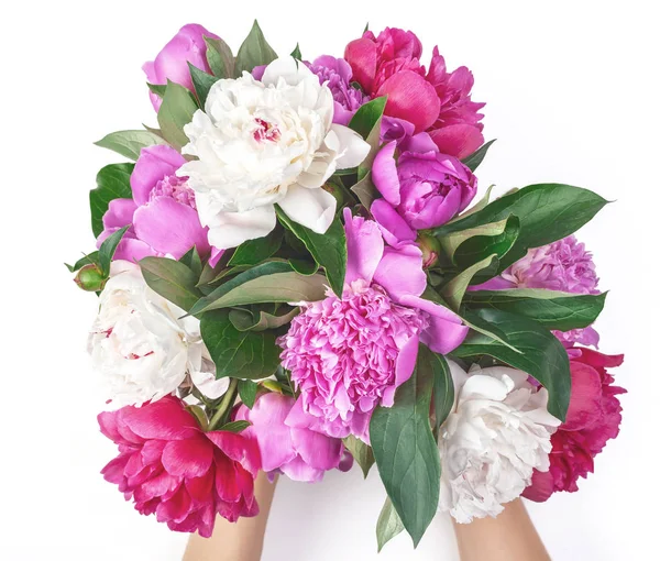 Bouquet Pink White Peony Flowers Woman Hand Isolated White Background — Stock Photo, Image