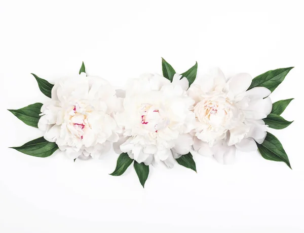 Drie Witte Pioen Bloemen Bladeren Een Witte Achtergrond Bovenaanzicht Plat — Stockfoto