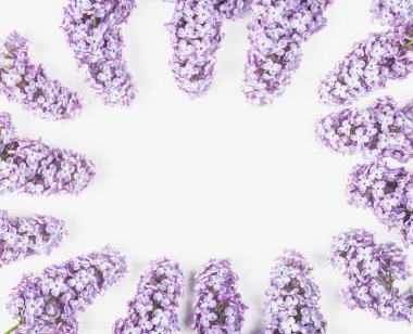 Çerçeve çiçek leylak çiçek izole bahar beyaz arka plan üzerinde yapılmış. Üstten Görünüm kopya alanı ile. Düz yatıyordu.