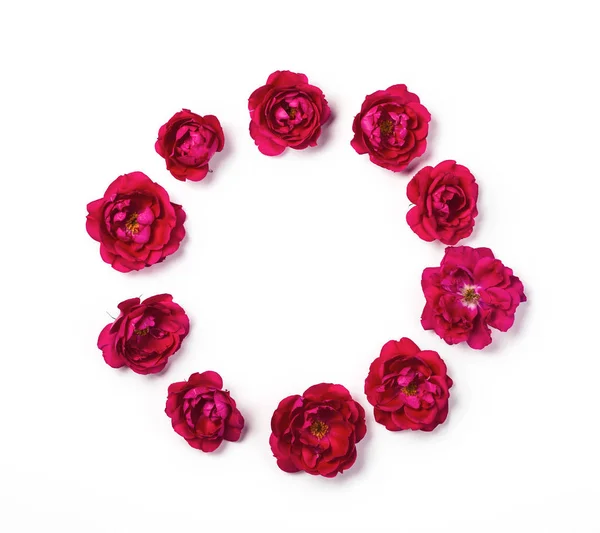 Rundrahmenkranz Aus Rosa Rosenblüten Isoliert Auf Weißem Hintergrund Ansicht Von — Stockfoto