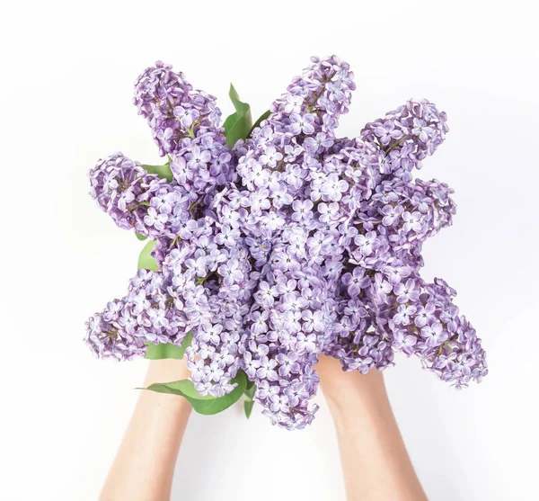 Bouquet Fiori Lilla Primaverili Mano Donna Isolato Sfondo Bianco Vista — Foto Stock