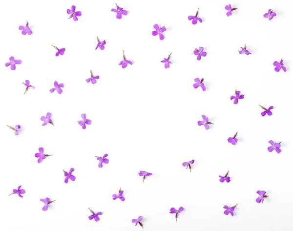 Marco Floral Hecho Flores Violetas Aisladas Sobre Fondo Blanco Vista — Foto de Stock