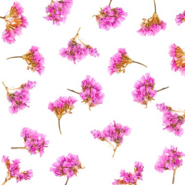 Beyaz arka plan üzerinde izole Limonium veya Statice çiçek çiçek desen yaptı. Düz yatıyordu. Üstten görünüm.