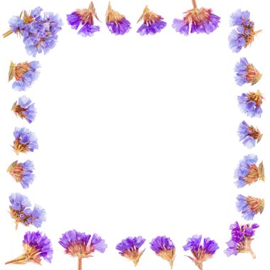 Beyaz arka plan üzerinde izole Limonium veya Statice çiçek çiçek çerçeve yaptı. Üstten görünüm kopya alanı ile. Düz yatıyordu.