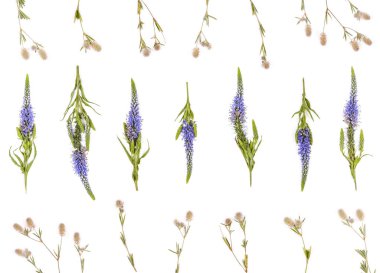 Beyaz arka plan üzerinde izole alan çiçek çiçek desen yaptı. Düz yatıyordu. Üstten görünüm.