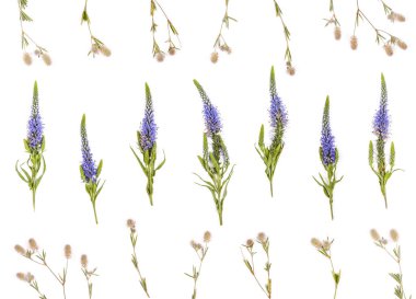 Beyaz arka plan üzerinde izole alan çiçek çiçek desen yaptı. Düz yatıyordu. Üstten görünüm.