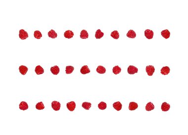 Ahududu beyaz arka plan üzerinde izole satırlar halinde yerleştirilmiş. Üstten görünüm. Düz yatıyordu