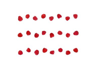 Ahududu beyaz arka plan üzerinde izole satırlar halinde yerleştirilmiş. Üstten görünüm. Düz yatıyordu