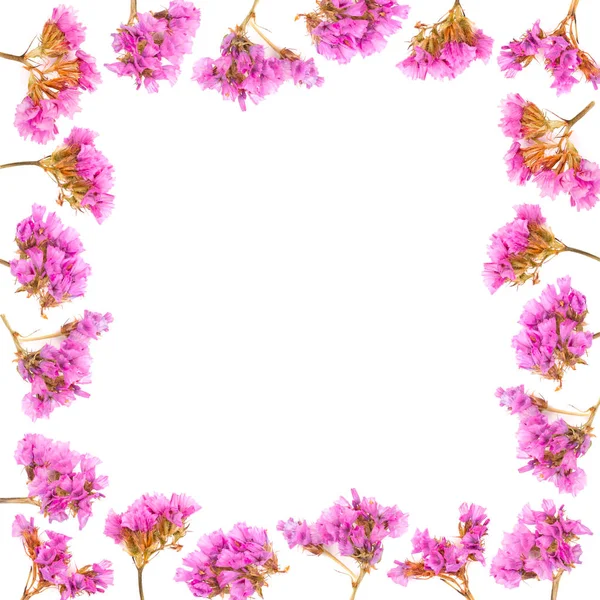Kwiatowy Rama Wykonana Limonium Lub Statice Kwiaty Białym Tle Widok — Zdjęcie stockowe