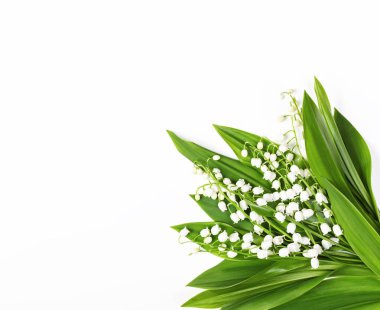 Lilyum beyaz arka plan üzerinde izole vadi of güzel buket. Üstten Görünüm kopya alanı ile. Düz yatıyordu