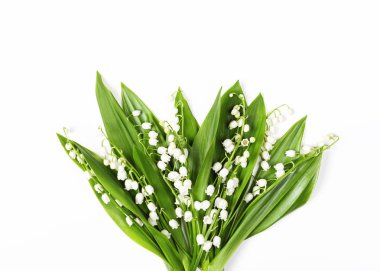 Lilyum beyaz arka plan üzerinde izole vadi of güzel buket. Üstten Görünüm. Düz yatıyordu.