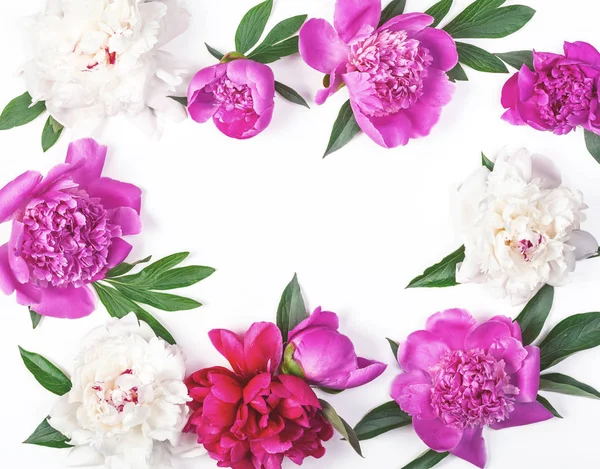 Floral frame made of pink and white peony flowers and leaves isolated on white background. Flat lay. Top view.