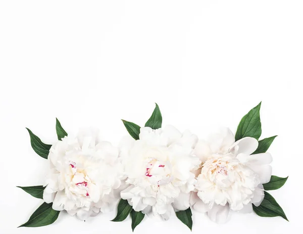 Drie Witte Pioen Bloemen Bladeren Een Witte Achtergrond Bovenaanzicht Met — Stockfoto