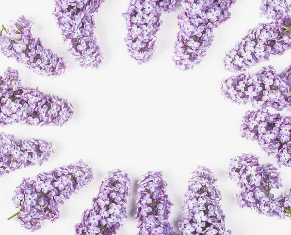 Çerçeve çiçek leylak çiçek izole bahar beyaz arka plan üzerinde yapılmış. Üstten Görünüm kopya alanı ile. Düz yatıyordu.