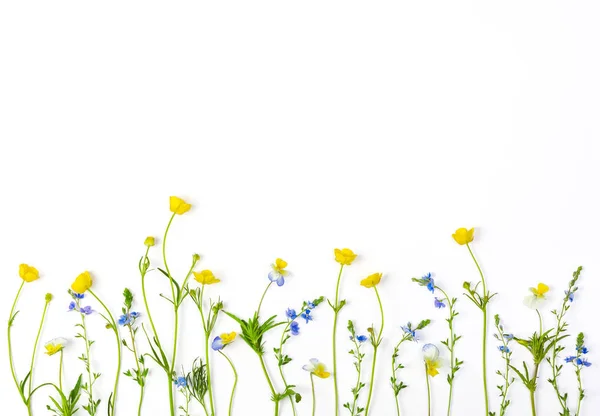 Çayır çiçeklerle alan Düğünçiçekleri ve beyaz arka plan üzerinde izole hercai menekşe. Üstten görünüm kopya alanı ile. Düz yatıyordu.