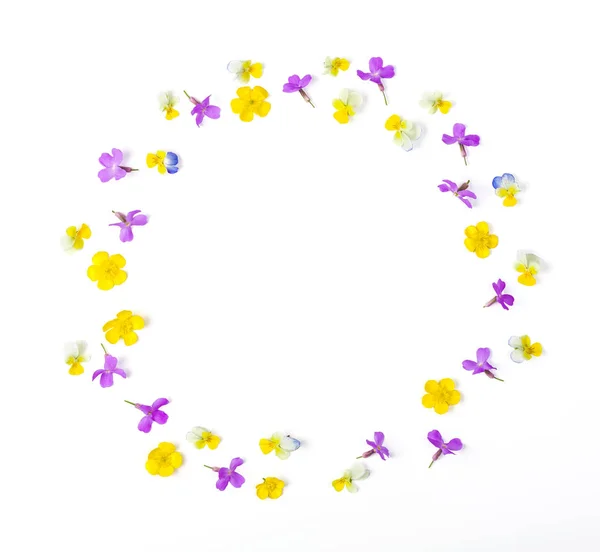 Frame Wreath Made Meadow Flowers Isolated White Background Top View — Stock Photo, Image