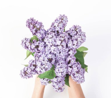 Buket bahar Eflatun çiçek beyaz arka plan üzerinde izole kadın'ın elinde. Üstten Görünüm. Düz yatıyordu.