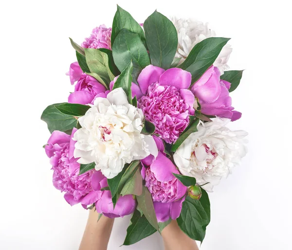 Bouquet Pink White Peony Flowers Woman Hand Isolated White Background — Stock Photo, Image