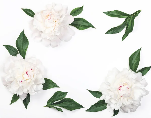 Каркас Білих Півоній Квітів Листя Ізольовані Білому Тлі Вид Зверху — стокове фото