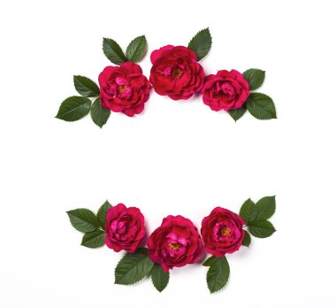 Pembe gül çiçek ve beyaz arka plan üzerinde izole yaprak çerçeve çiçek çelenk yaptı. Düz yatıyordu. Üstten görünüm.