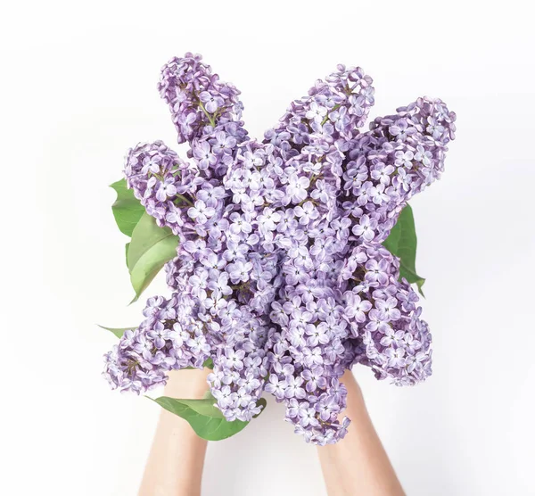 Bouquet Fiori Lilla Primaverili Mano Donna Isolato Sfondo Bianco Vista — Foto Stock