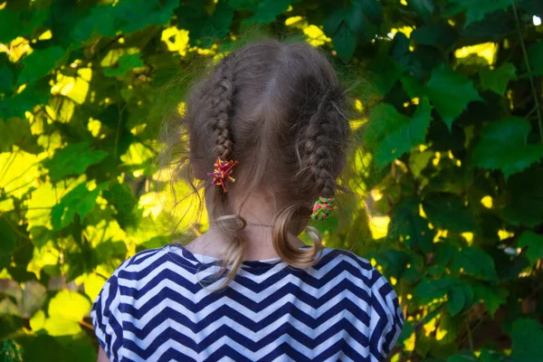 sevimli bir çocuk portresi, akşam ışığı yaz yüz bir arka planda yeşil üzüm yaprakları kızlar