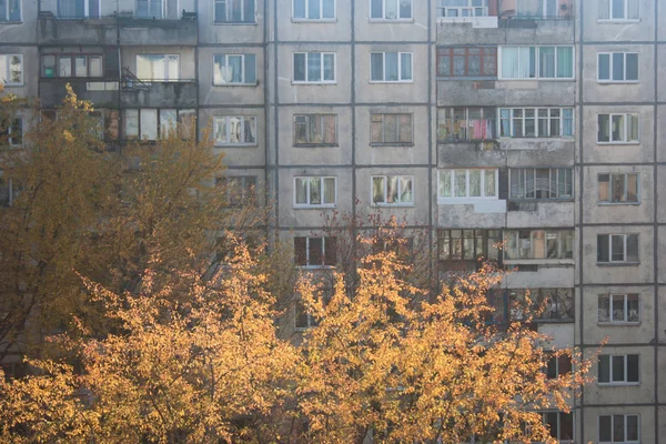 Sonbahar bir çok katlı paneli daireli ev gri cephe. Sarı ağaç kron ön planda. Gecekondu, nerede birçok aynı apartments, Odaları, windows