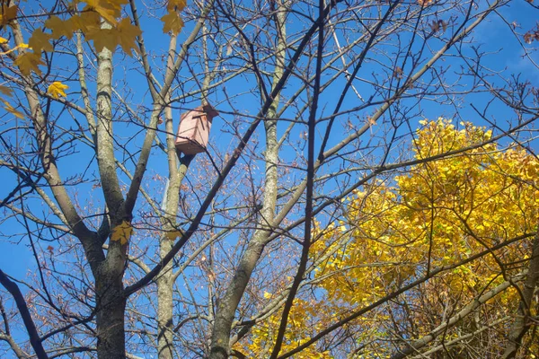 鳥の巣とその空の風景の中の鳥の家を残して南に飛んだ — ストック写真