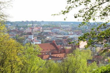 Eski şehirde, Vilnius genel görünümü yukarıdaki. Leyleklerin Litvanya'nın başkenti merkezinin görünümü