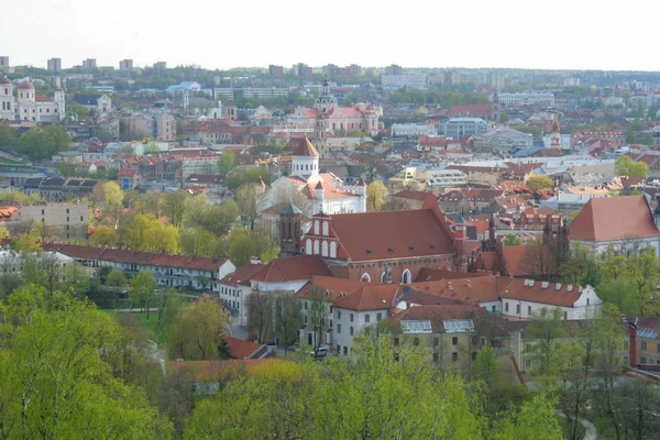 Eski şehirde, Vilnius genel görünümü yukarıdaki. Leyleklerin Litvanya'nın başkenti merkezinin görünümü