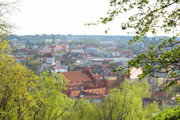 Eski şehirde, Vilnius genel görünümü yukarıdaki. Leyleklerin Litvanya'nın başkenti merkezinin görünümü