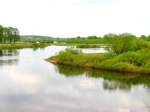 Θέα Από Ύψος Του Ποταμού Έχουν Χυθεί Πράσινο Νεαρή Βλάστηση — Φωτογραφία Αρχείου