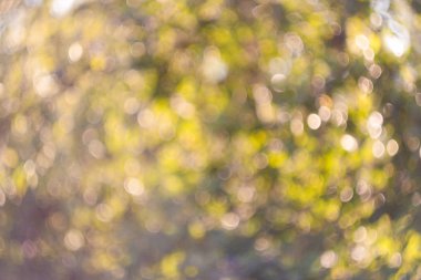 Güzel dönen bir bokeh, gölge ve ışık yak²n bir karışımı. Arka plan, şablon, iş için iş parçası