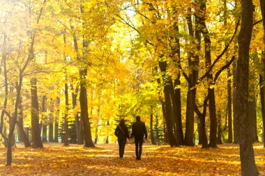 Yavaş bir güzel güneşli sonbahar Parkı ile yürüme çift
