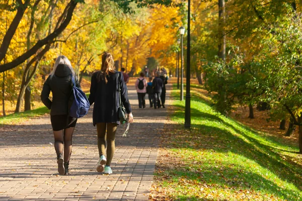 İki arkadaş yürümek ve kron parkta sarı sonbahar ağaçlarının altında kapalı bir günde sohbet.