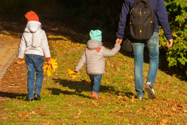 Padre Camina Con Sus Dos Hijos Través Parque Soleado Luminoso — Foto de Stock