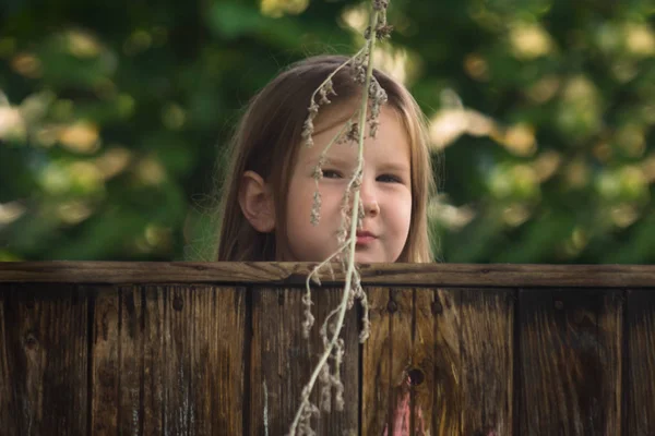 Lány Vicces Játszik Bújócskát Gyermek Azt Hiszi Nem Talált Gyermek — Stock Fotó