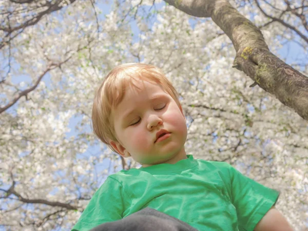 一个小男孩闭着眼睛听着内心春天的声音 一个孩子在开花果树的背景下 在冬眠后复活 — 图库照片