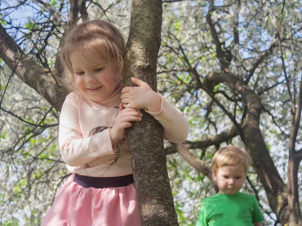 Leuke Schattige Blonde Kindertjes Klom Een Fruitboom Voorjaar Bloei Zijkanten — Stockfoto