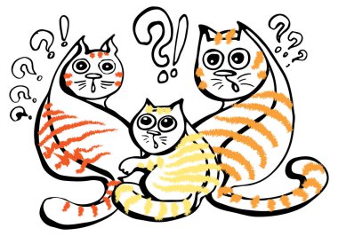 Kabarık kırmızı ve turuncu çizgili kedilerden grubunu çok şaşırır. Hayvanlar önemli işlerini böldüğüm şişkin gözler, hayretle bakıyorum.